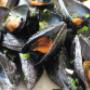 Cozze