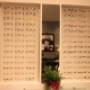 Occhiali alla Moda Ottica del Corso