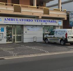 Ambulatorio Veterinario Dott. Ciervo Bernardo