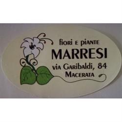 F.lli Marresi
