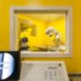 Gallery Professionale