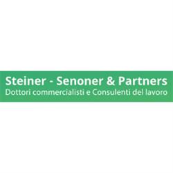 Steiner - Senoner E Partners