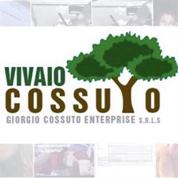 Vivaio Roma Cossuto