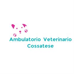 Ambulatorio Veterinario Cossatese