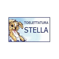 Toelettatura Stella