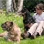 Pensione Estiva per Cani Casa Orlando