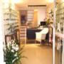 Ottica