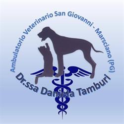 Ambulatorio Veterinario San Giovanni Dott.ssa Daniela Tamburi