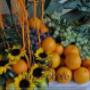 Frutta