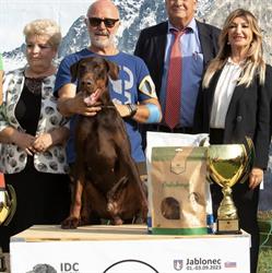 Allevamento Dobermann De' Andreoli