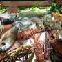 Specialità Pesce