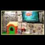 Area Video Giochi