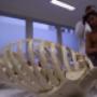 Corsi per Osteopati