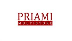 Priami MultiStore
