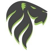 VLD Global Solutions
