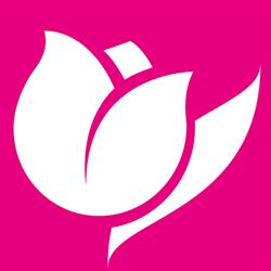 Il Tulipano