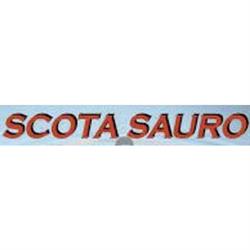 Idraulico Scota Sauro