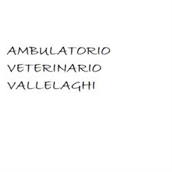 Ambulatorio Veterinario Vallelaghi Massimo Danielli