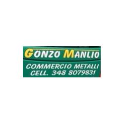Manlio Gonzo