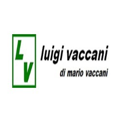 Luigi Vaccani