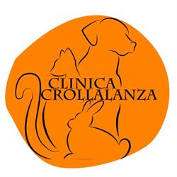 Clinica Crollalanza