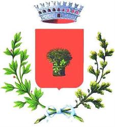 COMUNE DI MAGGIORA