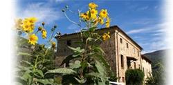 al Palazzaccio