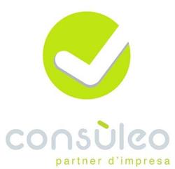 CONSULEO S.R.L.