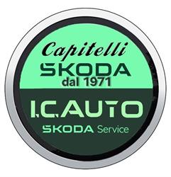 I.C. AUTO SRL