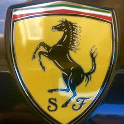 TOP PROFESSIONAL CAR SRL