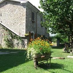 B&B ACQUASALSA - MASSERIA IN PIETRA DEL PRIMO 900
