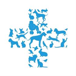 CLINICA VETERINARIA SAN MAURIZIO