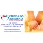 Copparo Assistenza