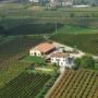 Azienda Agricola Il Pignetto