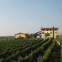 Azienda Agricola Il Pignetto