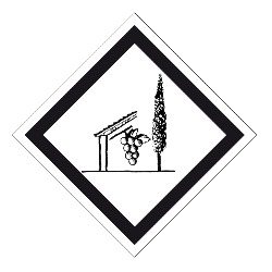 Azienda Agricola Il Pignetto