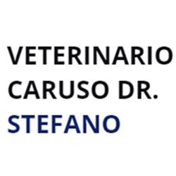 Veterinario Caruso Dr. Stefano