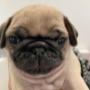 # 40