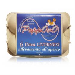 Azienda Agricola Peppovo