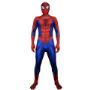 Spiderman Amazing costume