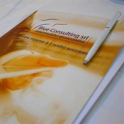 BLUE CONSULTING SRL