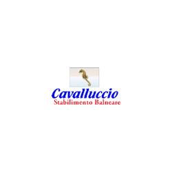 Ristorante e Stabilimento Balneare Il Cavalluccio