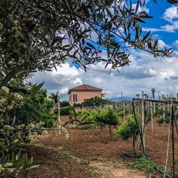 Bed e Breakfast Piano del Re