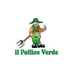 Vivaio Il Pollice Verde