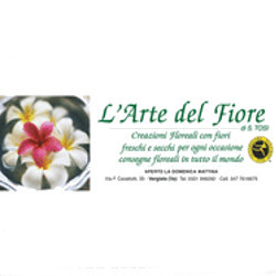 Fiorista Tosi Stefania - L'Arte del Fiore
