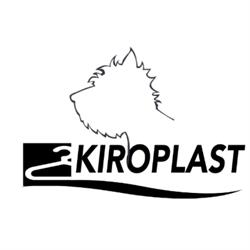 Kiroplast