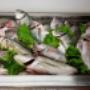 Pesce