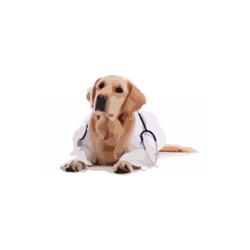 Ambulatorio Veterinario Dr. Miotto