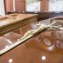Gallery Professionale
