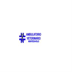 Ambulatorio Veterinario Montecavolo di Molinari Dott. Andrea